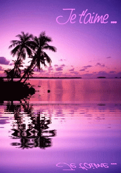 je t aime